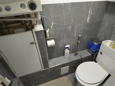 Picture 8